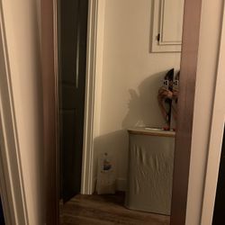 Tall Mirror Bronze Frame