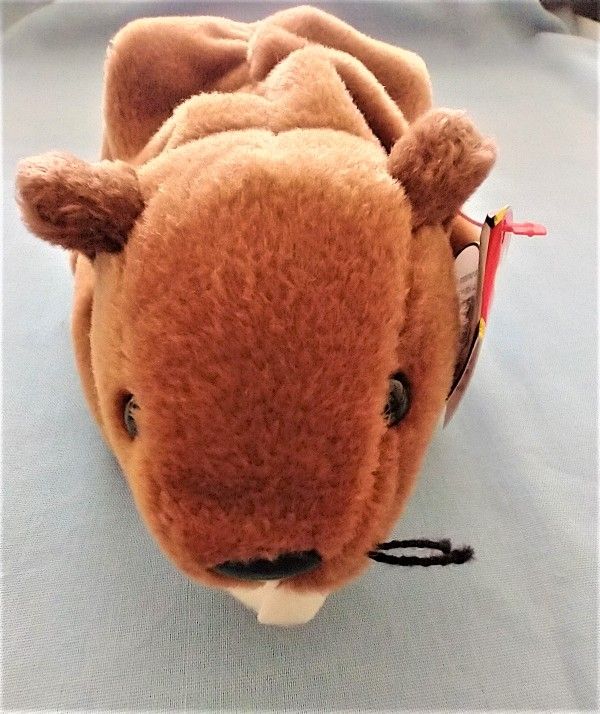 Bucky style 4016 beanie baby beaver -