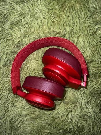 JBL Live 500bt Over-Ear Headphones