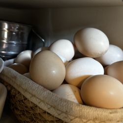 Fresh Eggs Calico Bantam Cochin