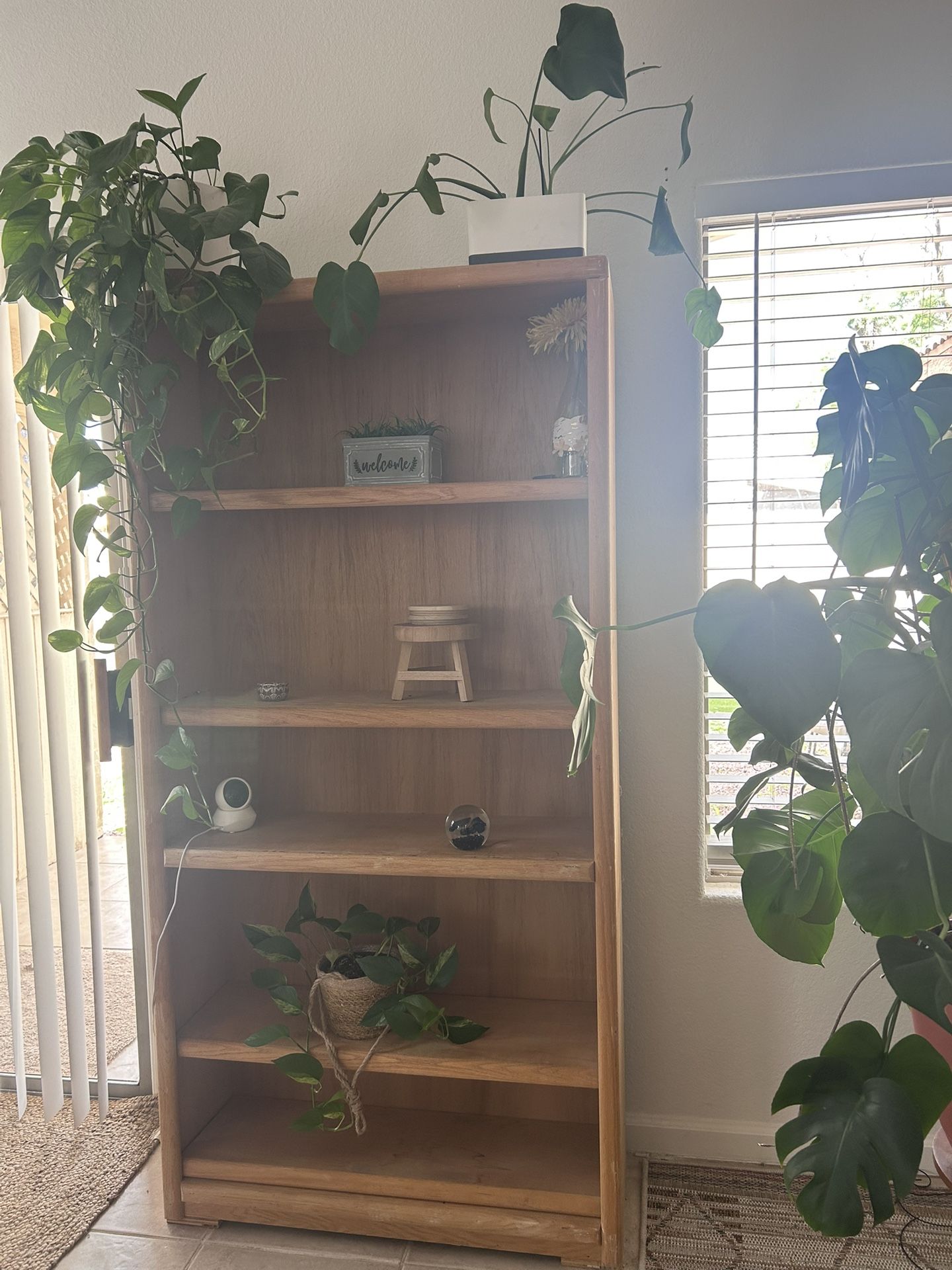 Large Shelf