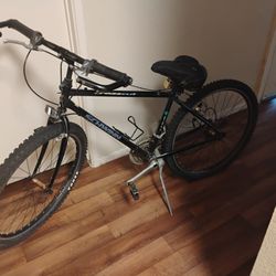 Schwinn Crosscut USA Bike 