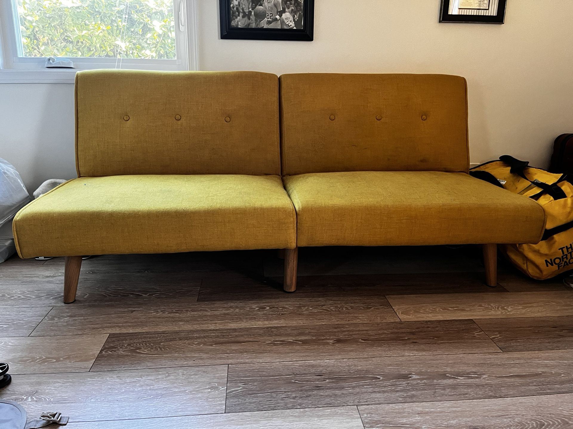 Fold Out Futon