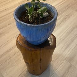 Live Edge Wood Stump