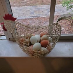 Fresh Organic Free Range Eggs
