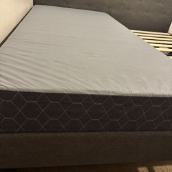 Two Twin Size Box Springs