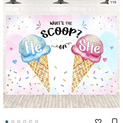 Gender Reveal Decorations- What’s The Scoop 