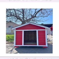 seek arrive Yard Pet Houses - Lasting Homes for Joyful Pets