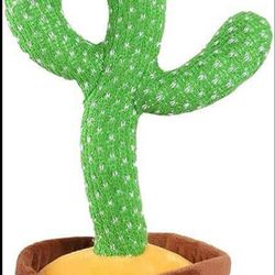 Dancing Cactus 🌵 (Great Condition)