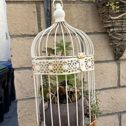 Vintage Bird Cage With Succulent Planter Inside 