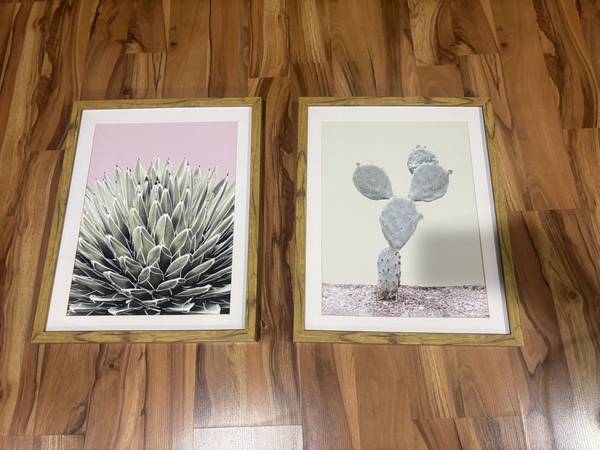 Target Cactus Wall Art 16x20