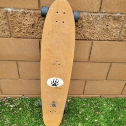 Longboard Skateboard With Brakes