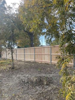Fence And Gate!!!!