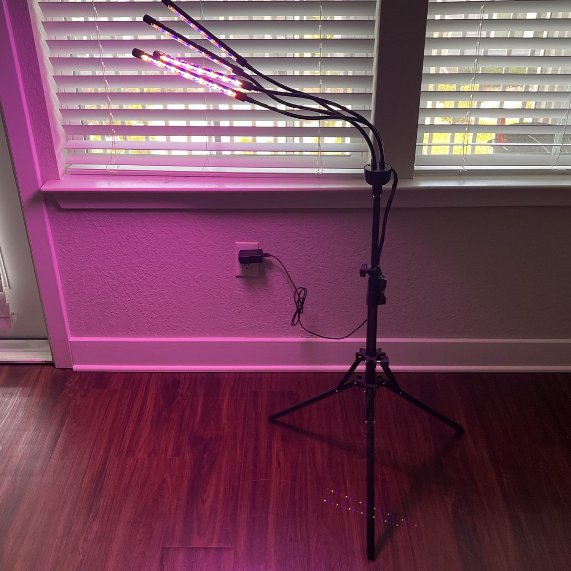 Indoor plant LED light