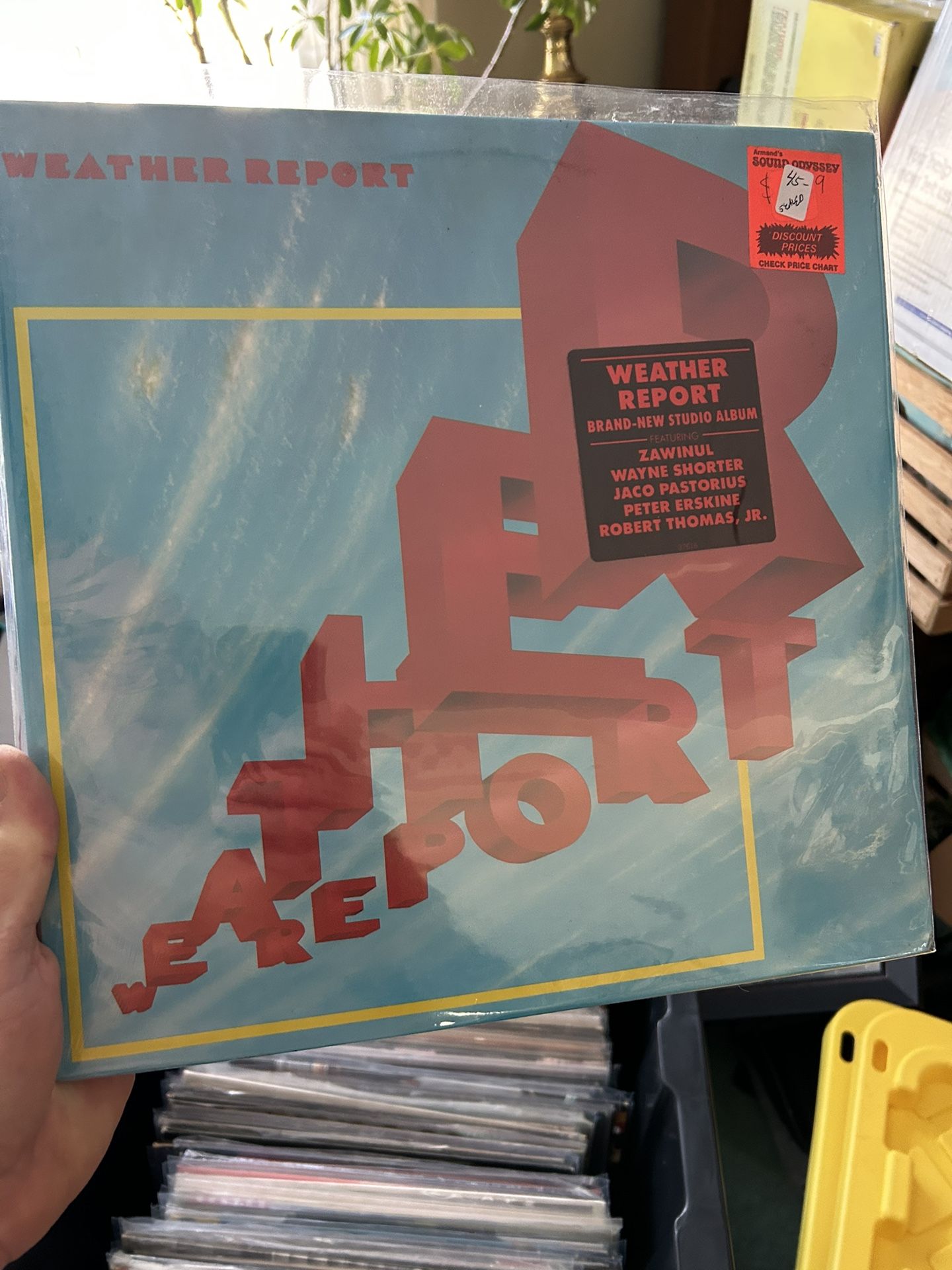 weather report lp sealed 