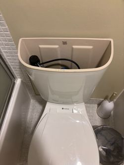 Glacier Bay toilet lid