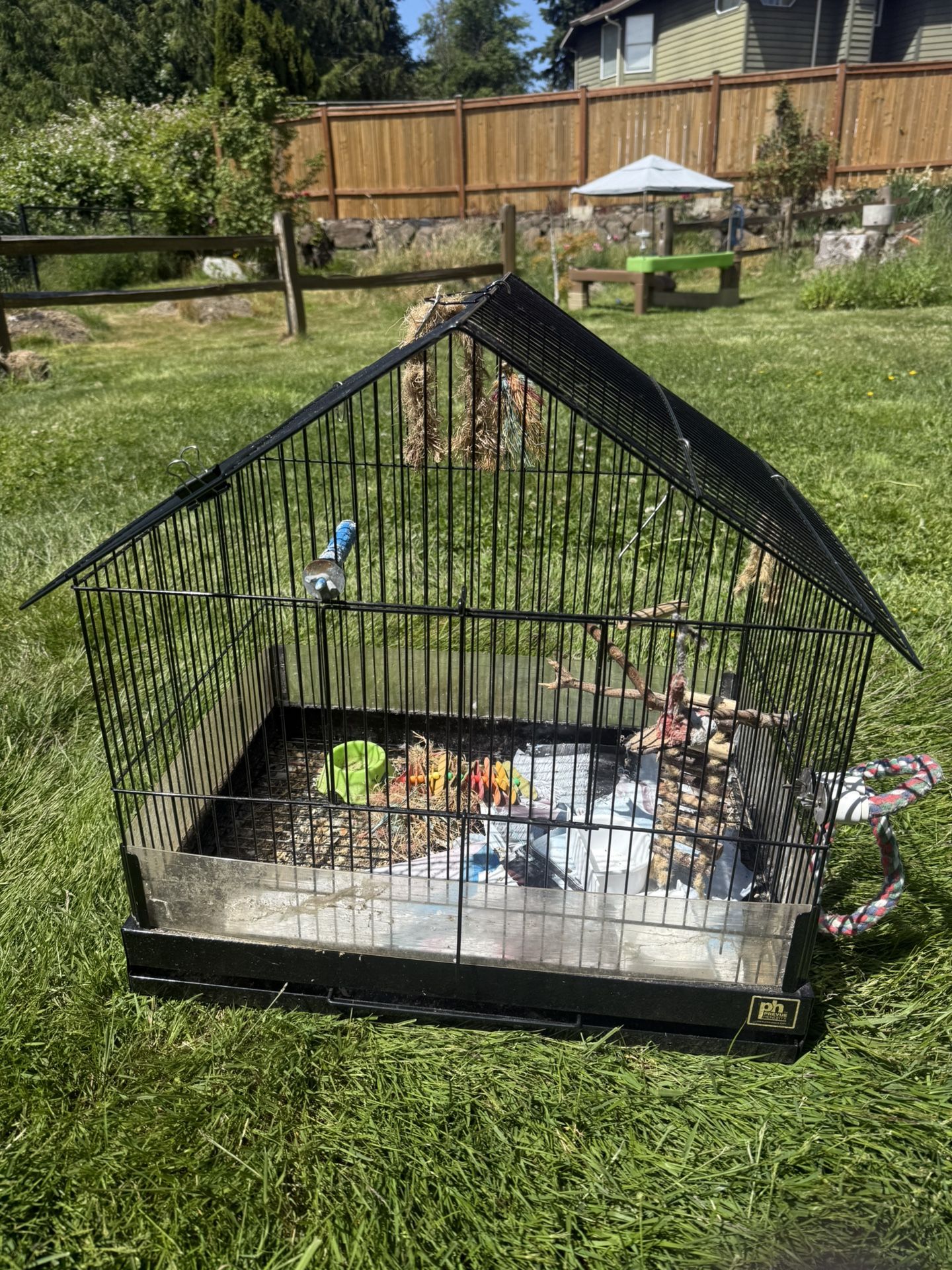Bird Cage