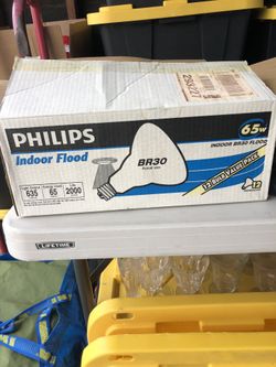 Phillips lights br30