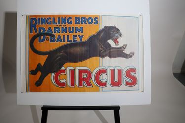 Vintage Ringling Bros Circus Poster Black Panther 1970s Museum Reprint P-18 23.5x36