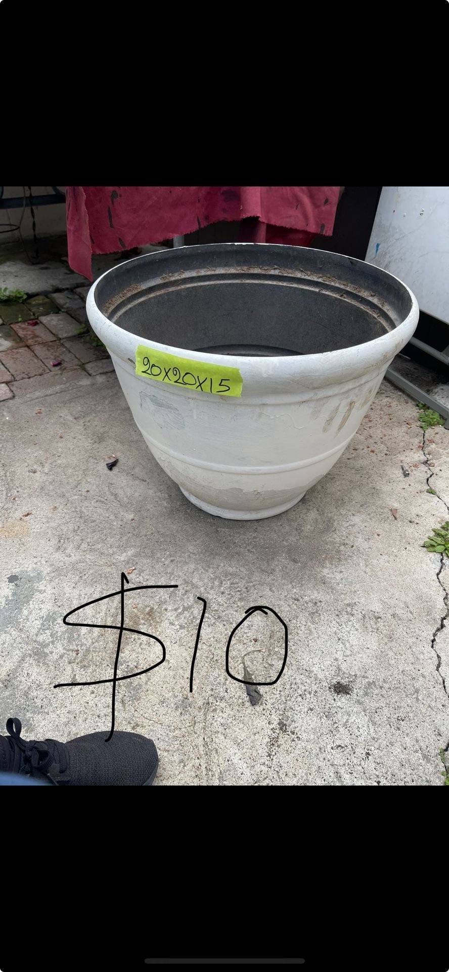 Excellent Condition Pots And Plant