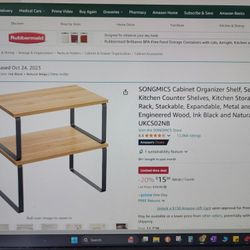 Organizer Shelf - set of 2