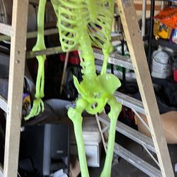Skeleton Halloween 