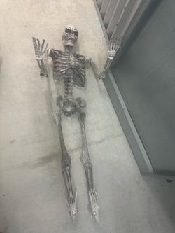 4- 5ft skeletons