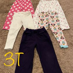 Winter/fall Girl Pants  Clothes Size 3T