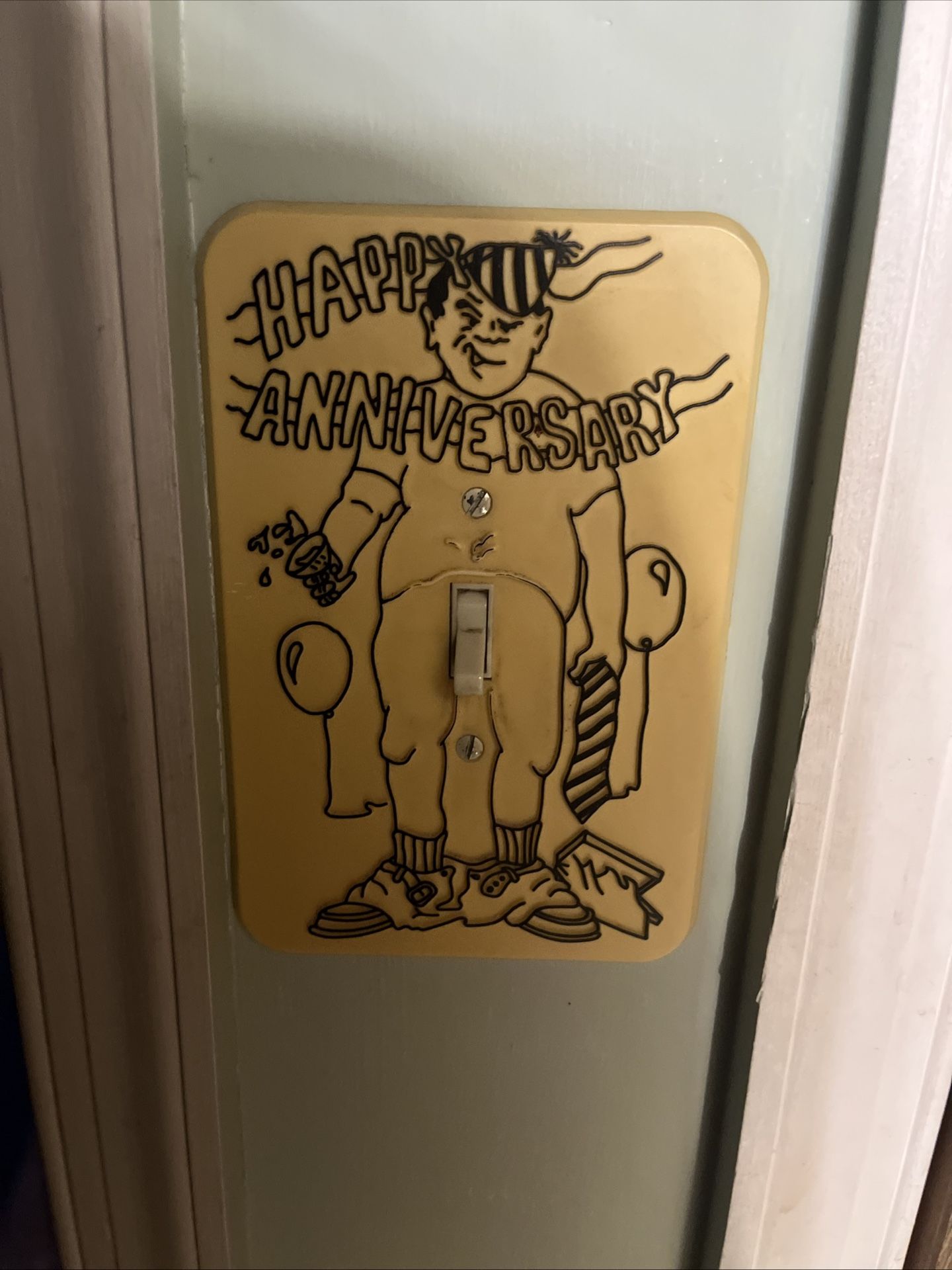Vintage Light Switch Cover