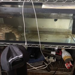 45 Gallon Tank Comes With Everything In The Photo