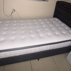 Twin Size Bed Frame With Mattress Included