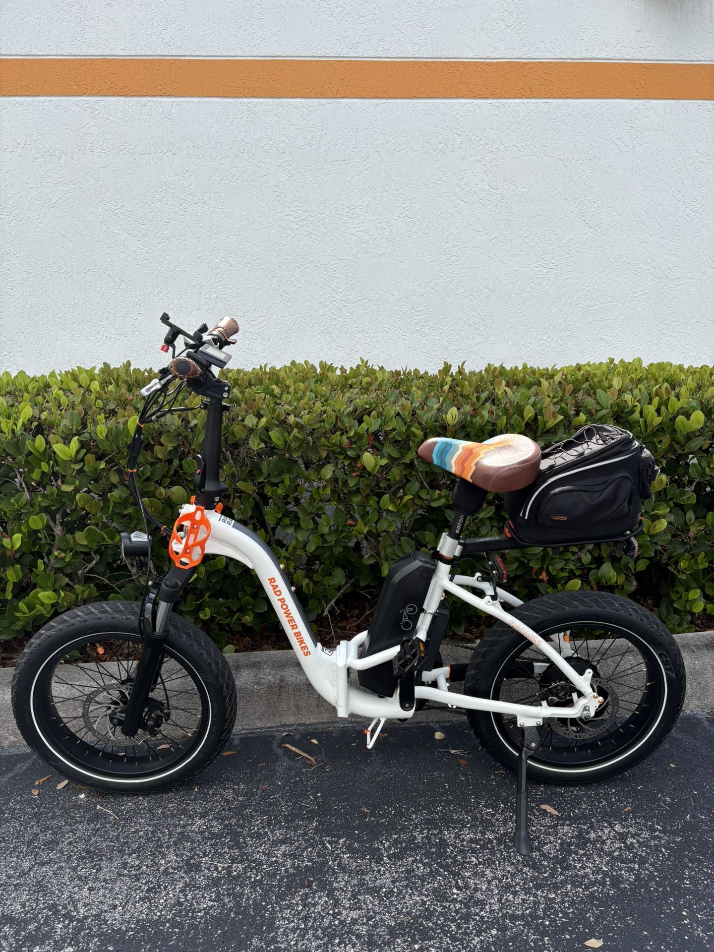 Electric Bike Rad