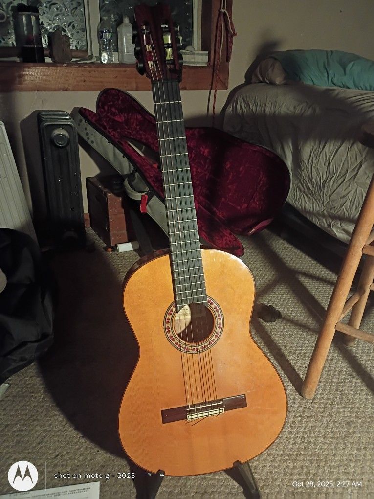 Conde Hermanos Media luna A1 Concert Flamenco Guitar 