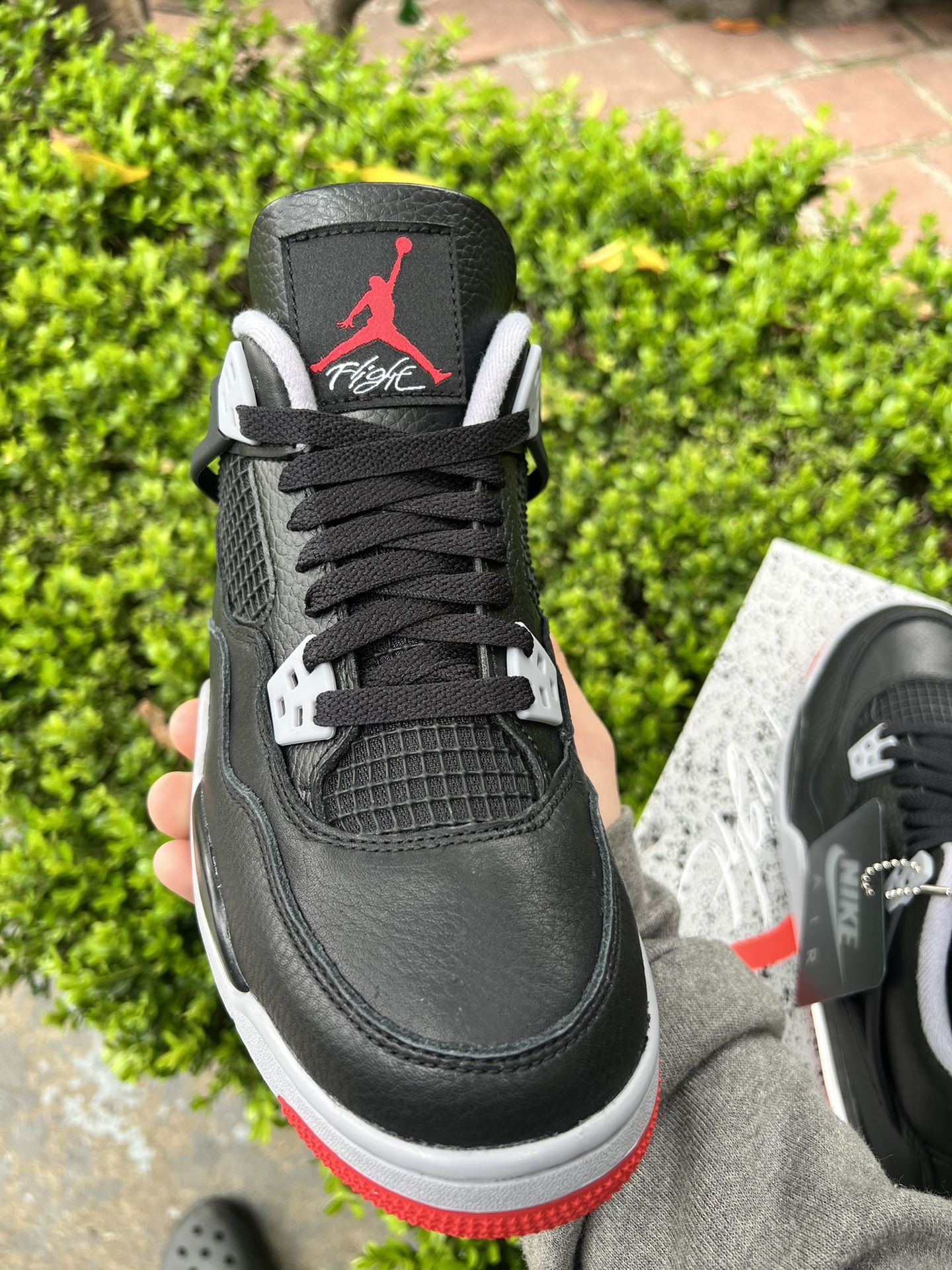 Jordan 4 Bred