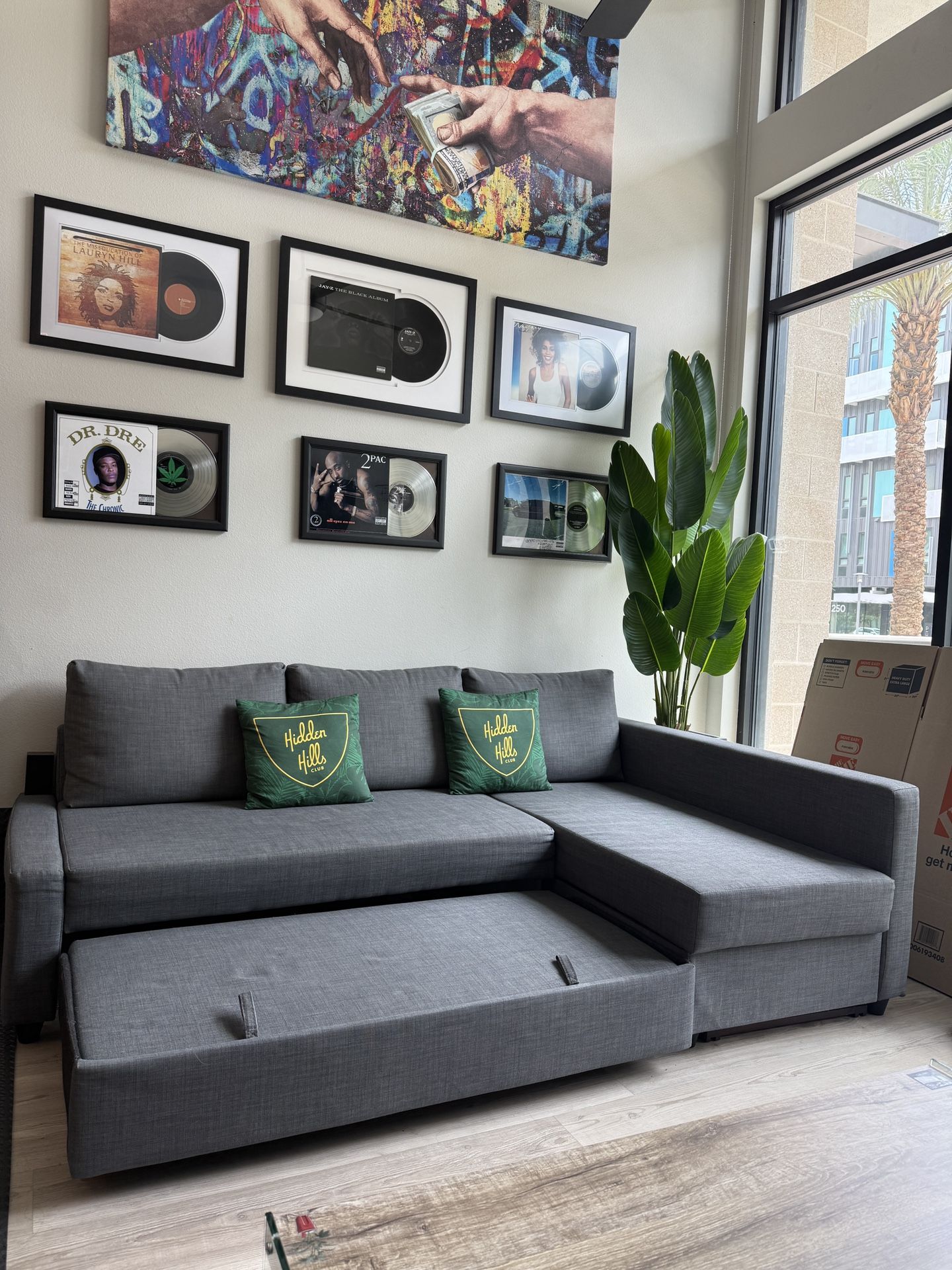 Comfy Couch With Storage That Turns Into Bed