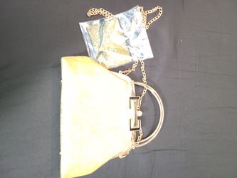 Brand NEW Gold Purse With Chain And Cloth Coin Purse