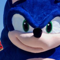 Sonic  Costume Mascot Halloween For Sale Or R.E.n..t
