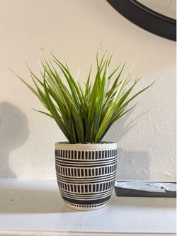 Plant decor