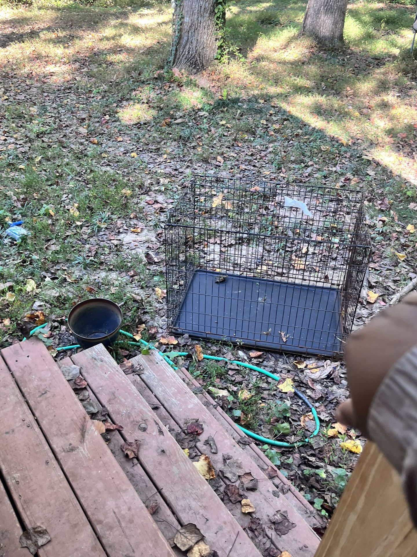 Free xl rusted dog cage 