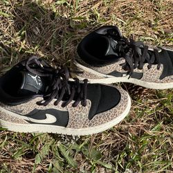 4.5y Cheetah Jordan’s 