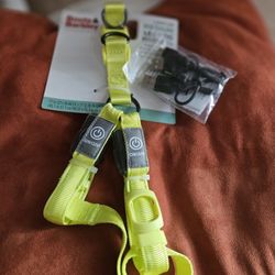 Dog Leash