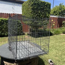 Dog Crate