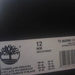 Timberland Boots Men Brand New Need Gone ASAP