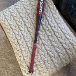 Easton Baseball Bat