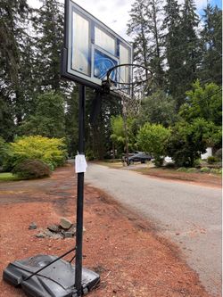 Free Basketball Hoop