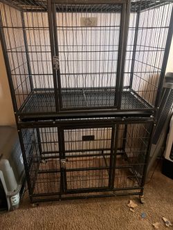 Dog kennel