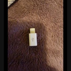 iPhone Adapter