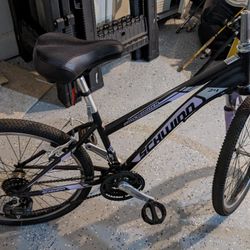 Schwinn Bike 