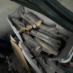Rubbermaid Storage Bin Filled With Fire Wood