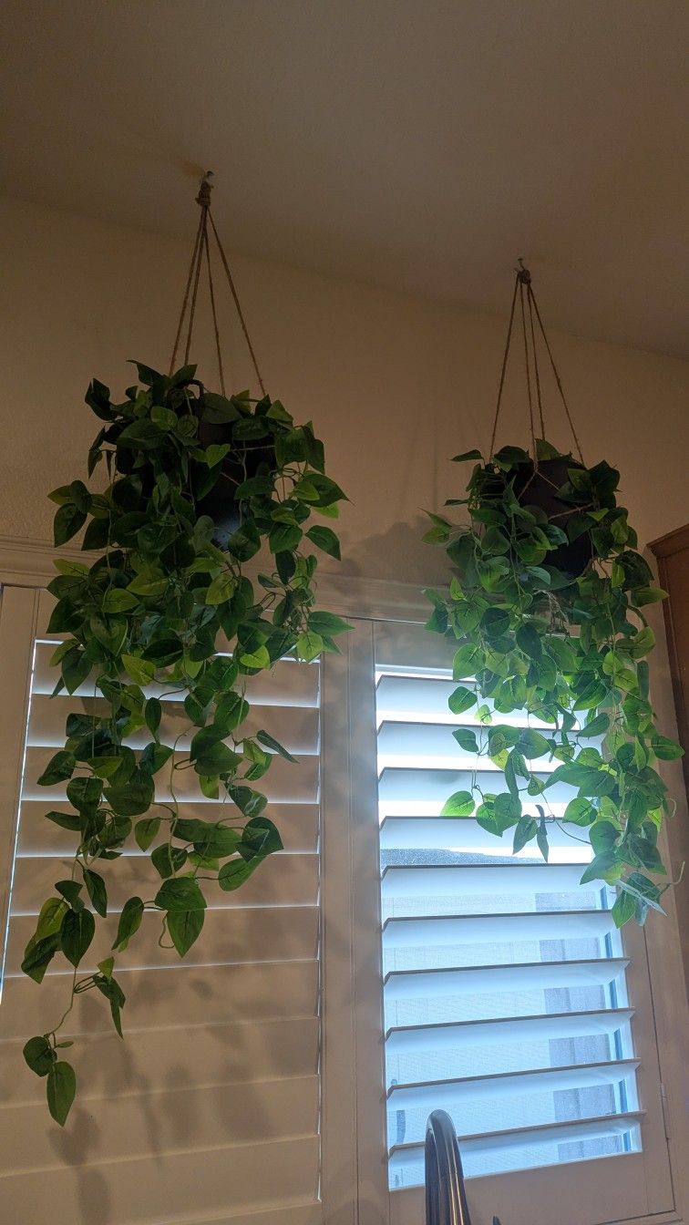 Fake Potted Vine Plants